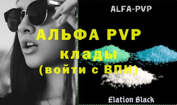 прущие грибы Елизово