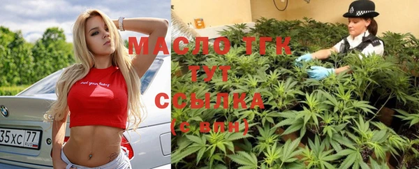 прущие грибы Елизово