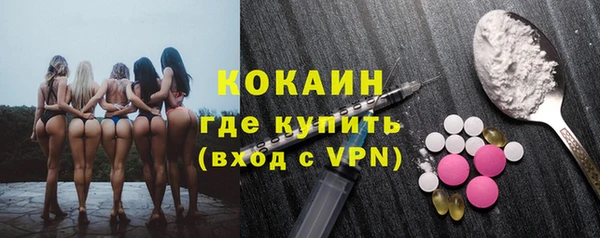 прущие грибы Елизово