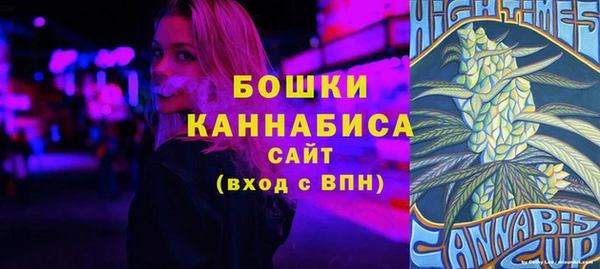 прущие грибы Елизово